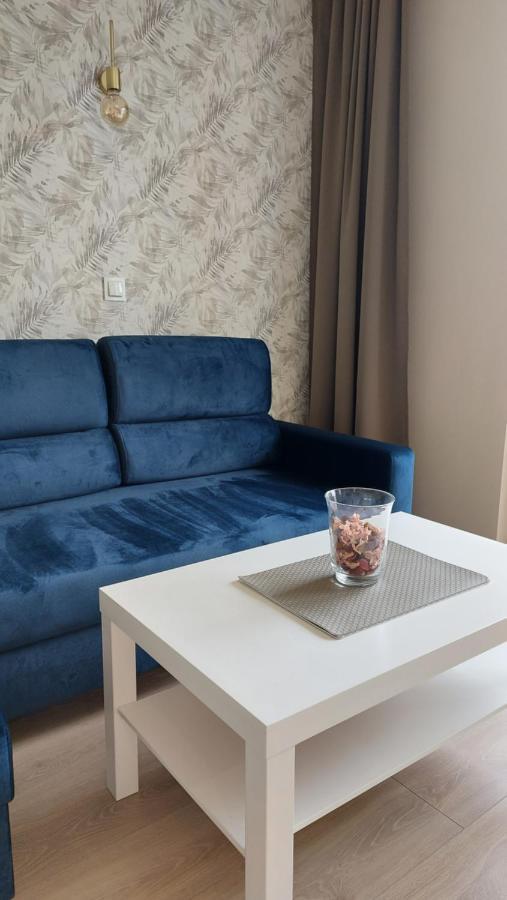 Apartament Skamander Stary Toruń Eksteriør bilde
